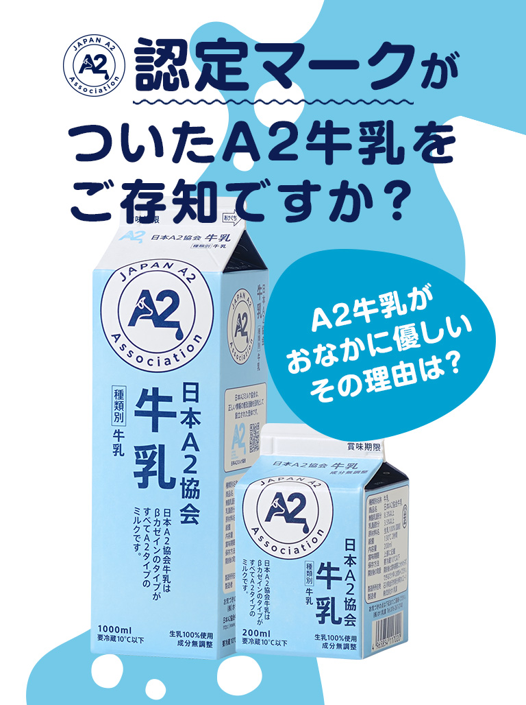 キャンペーン キャンペーン