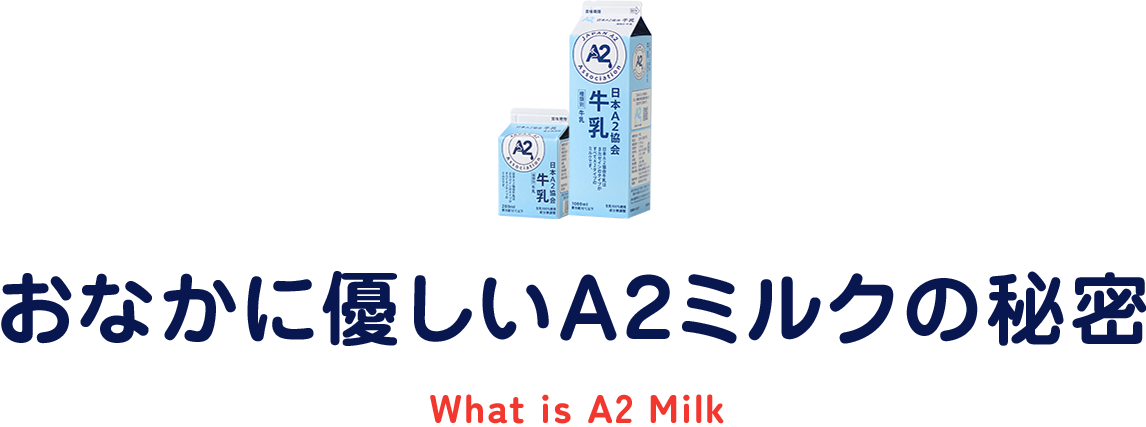 おなかに優しいA2ミルクの秘密