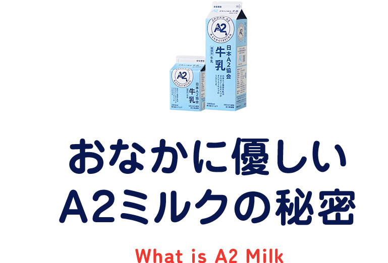 おなかに優しいA2ミルクの秘密