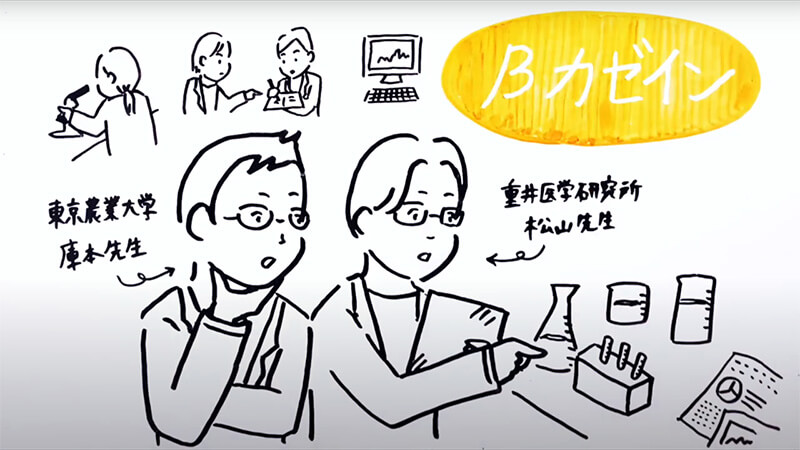 βカゼインの研究
